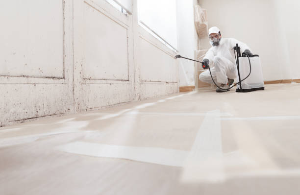 24/7 Emergency Mold Remediation experts in Farmville, VA