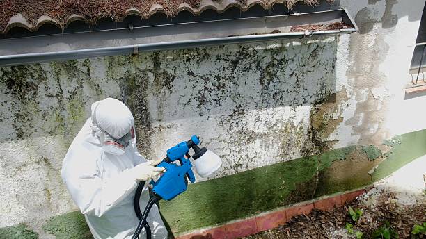 Top rated local Mold Remediation specialists in Farmville, VA
